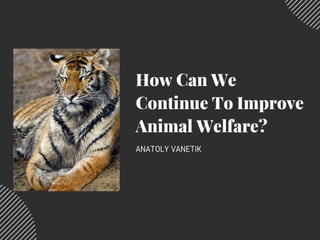 How Can We Continue To Improve Animal Welfare?