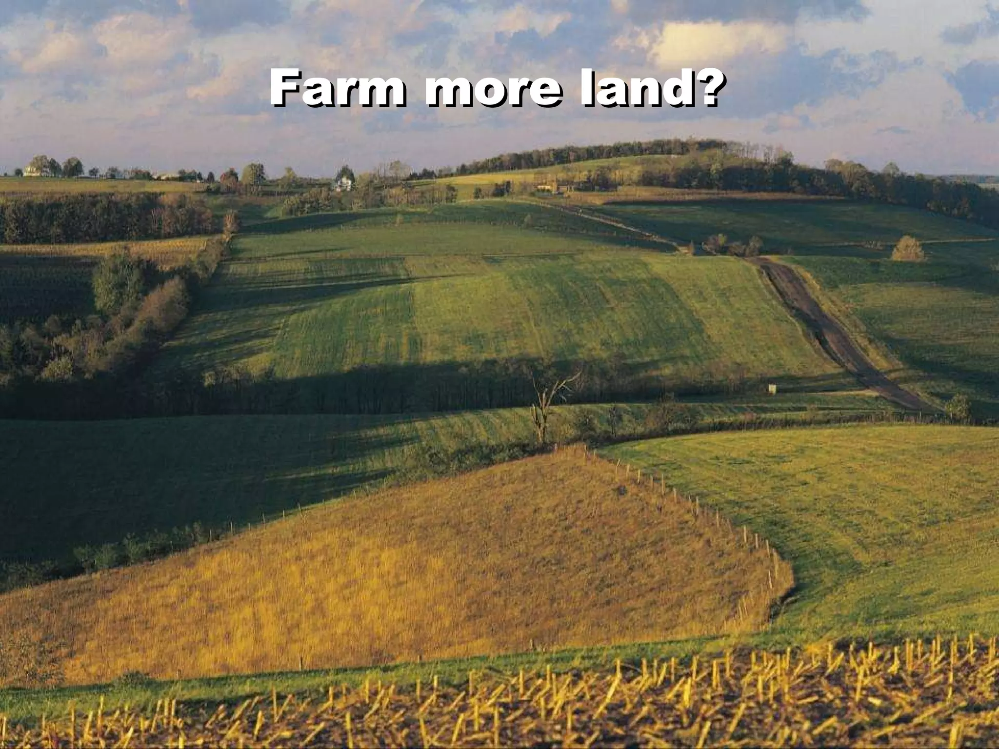 Farm more land? Farm more land? 