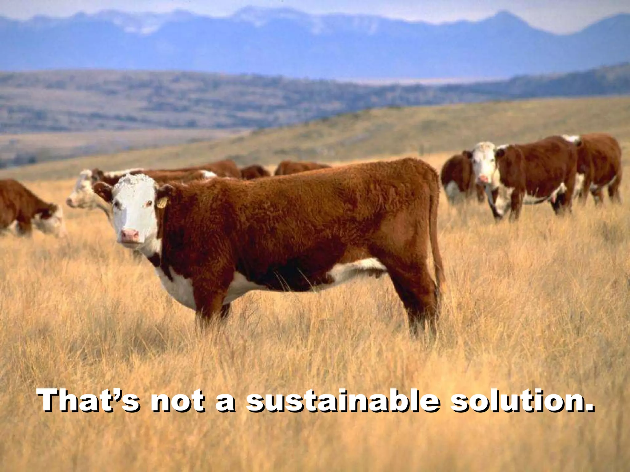 That’s not a sustainable solution. That’s not a sustainable solution. 