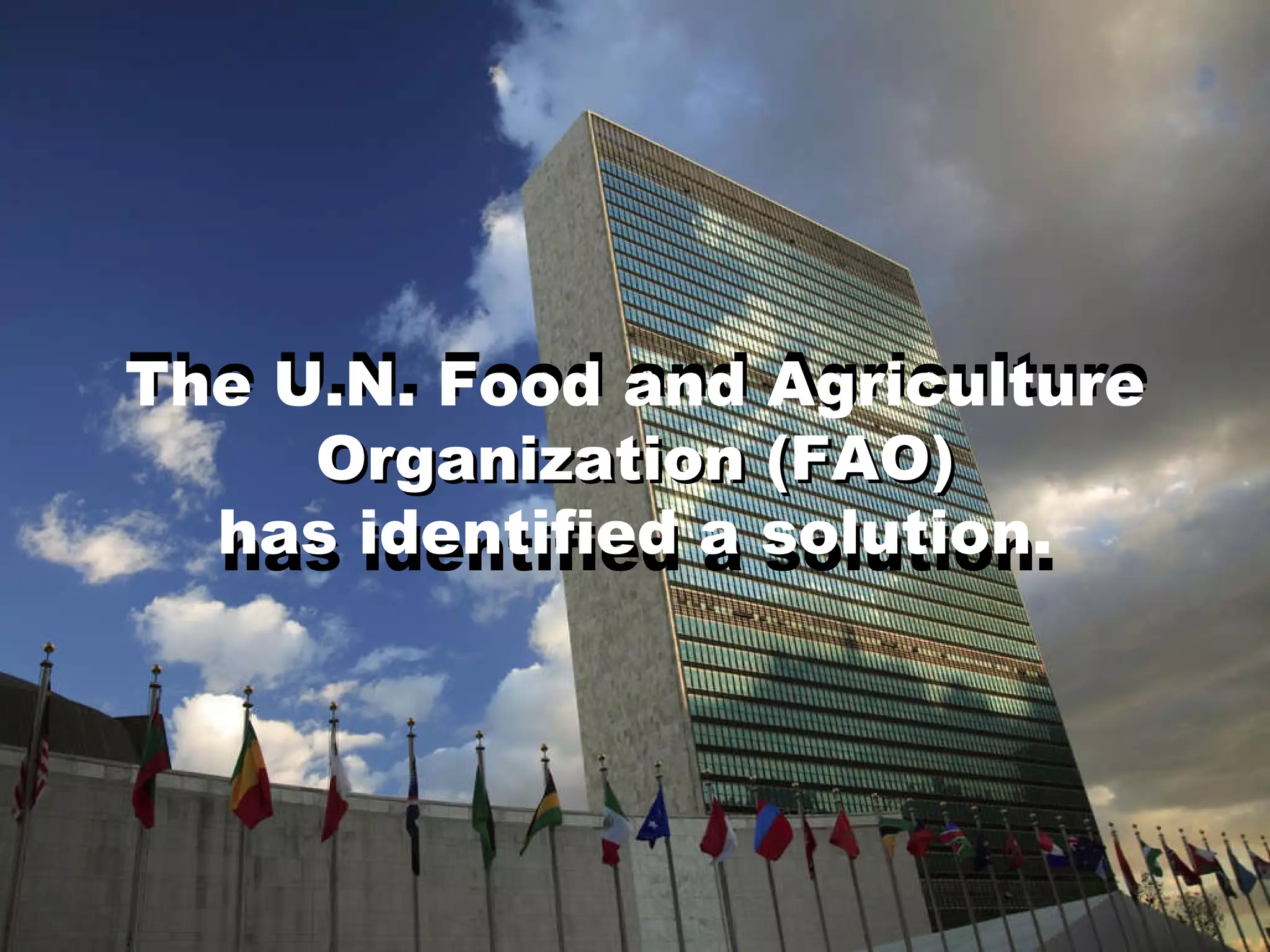 The U.N. Food and Agriculture Organization (FAO) has identified a solution. The U.N. Food and Agriculture Organization (FAO) has identified a solution. 