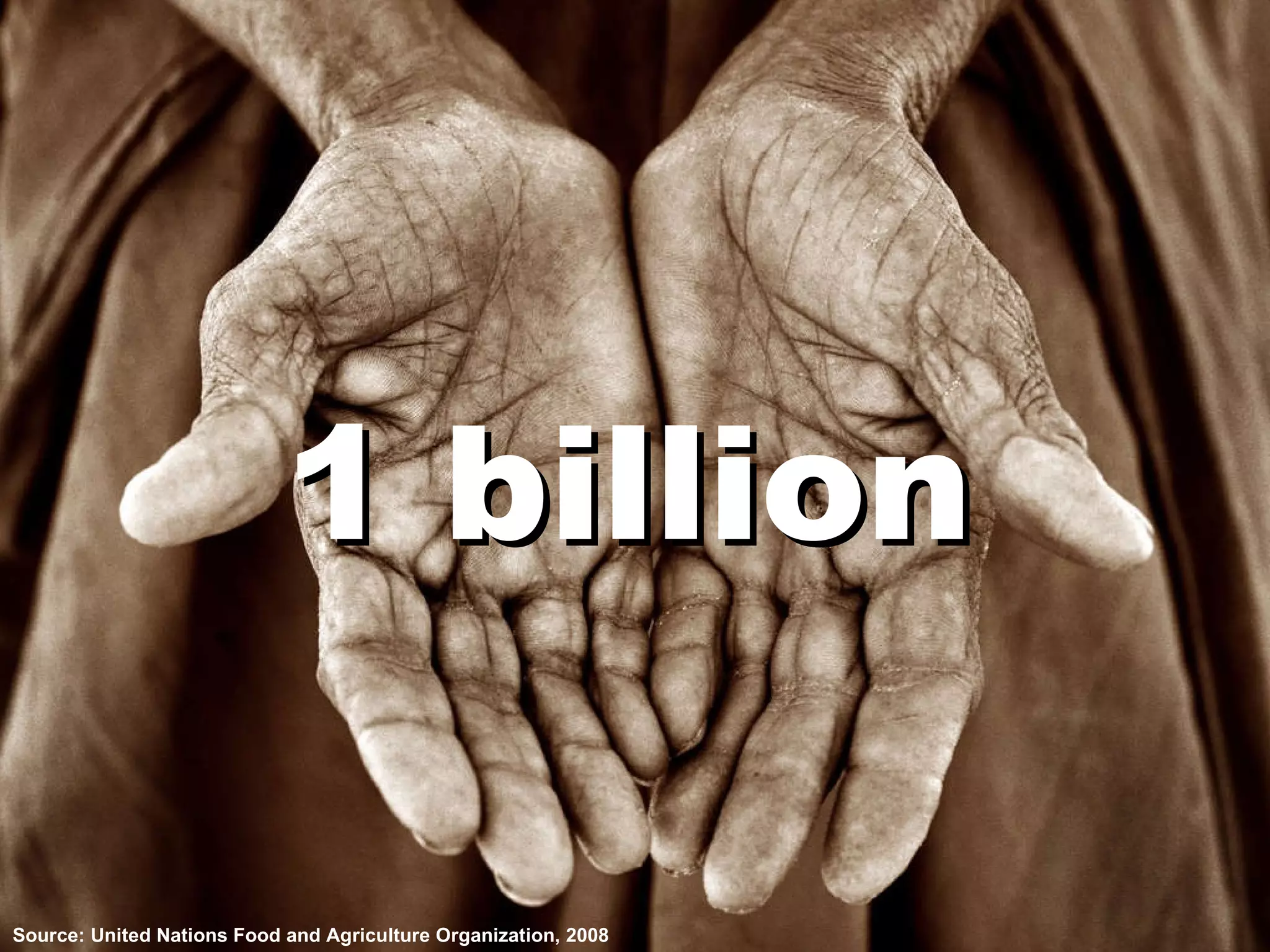 Source: United Nations Food and Agriculture Organization, 2008 1 billion 1 billion 