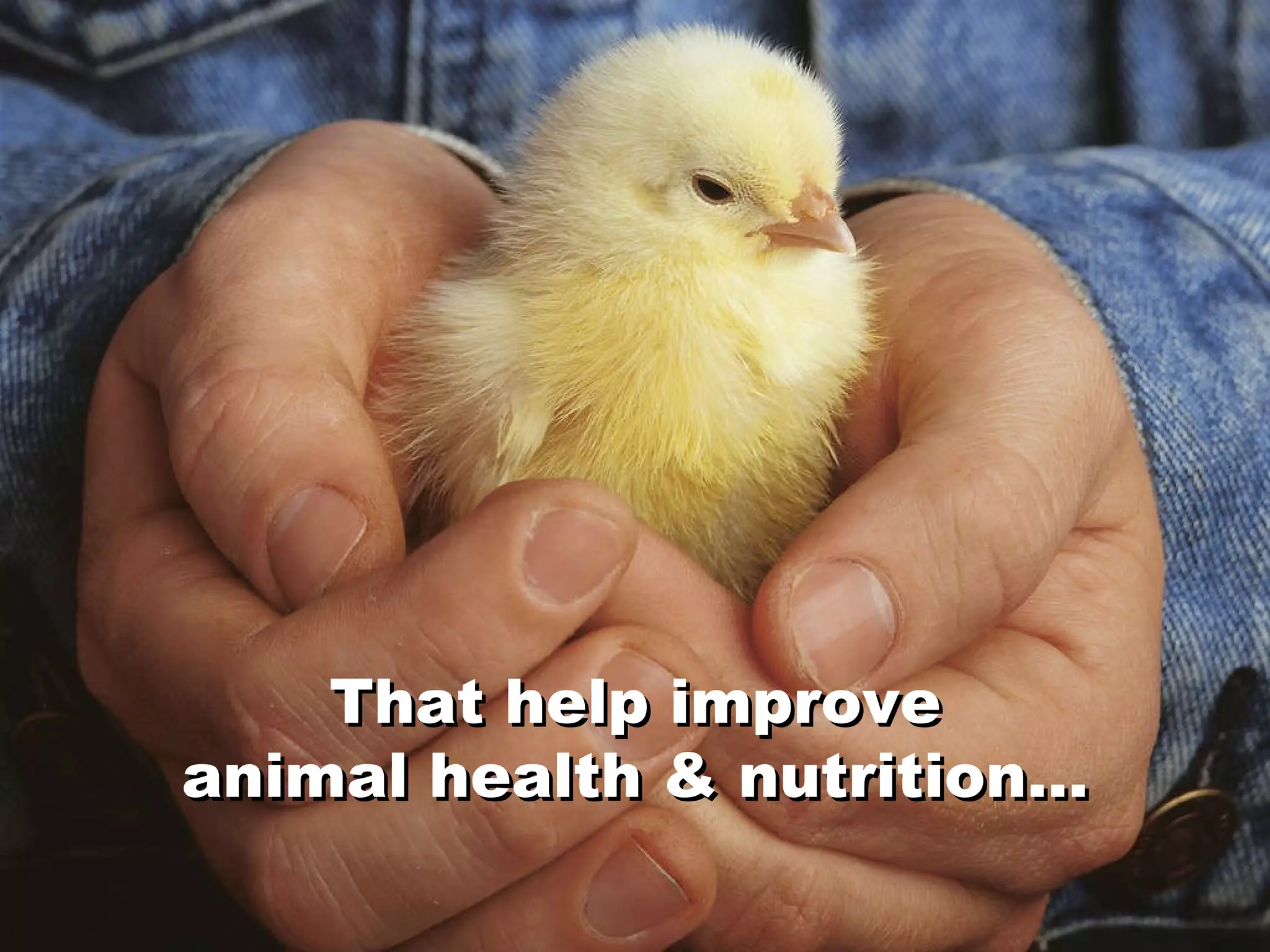 That help improve animal health & nutrition… That help improve animal health & nutrition… 