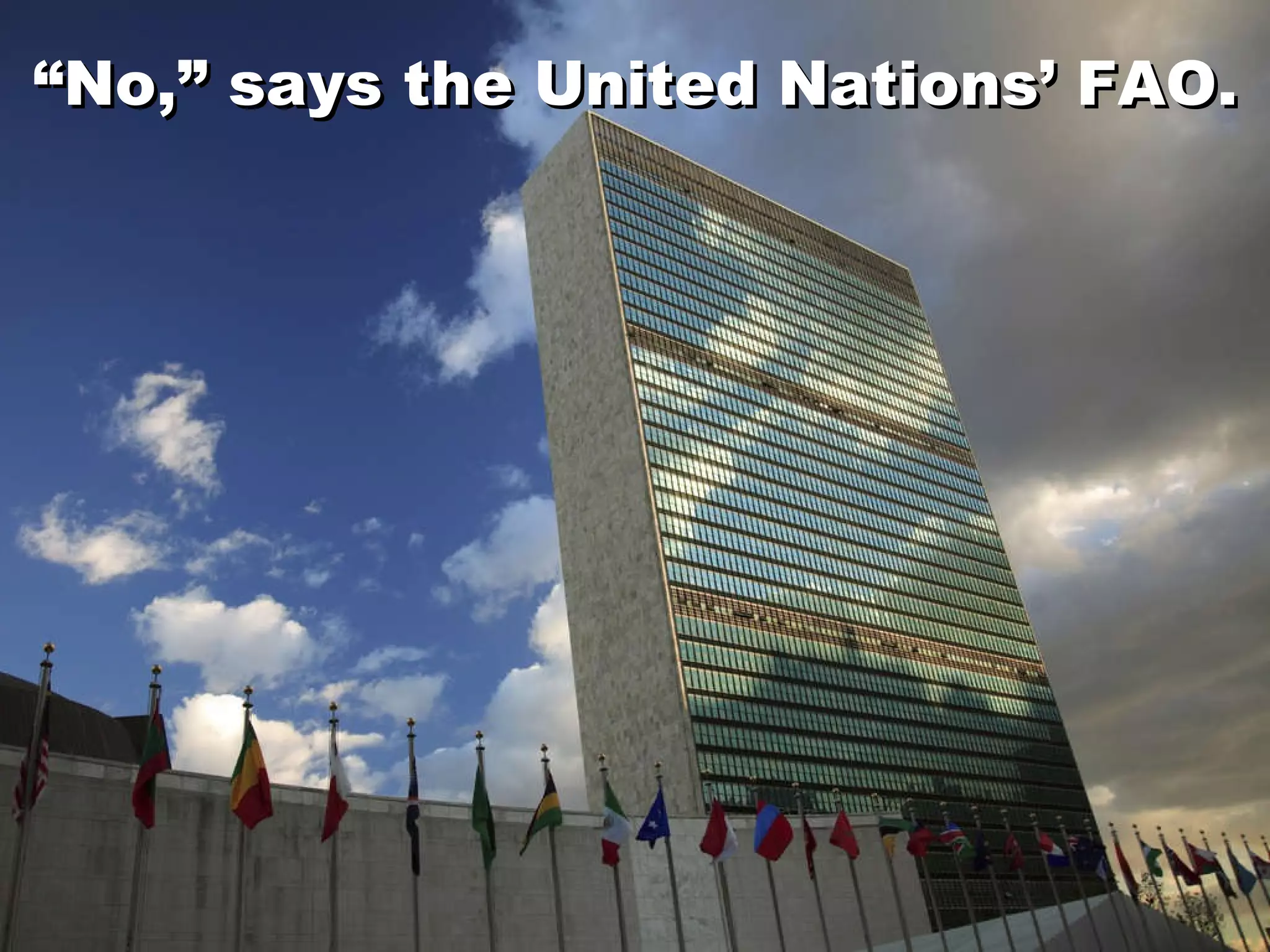 “ No,” says the United Nations’ FAO. “ No,” says the United Nations’ FAO. 