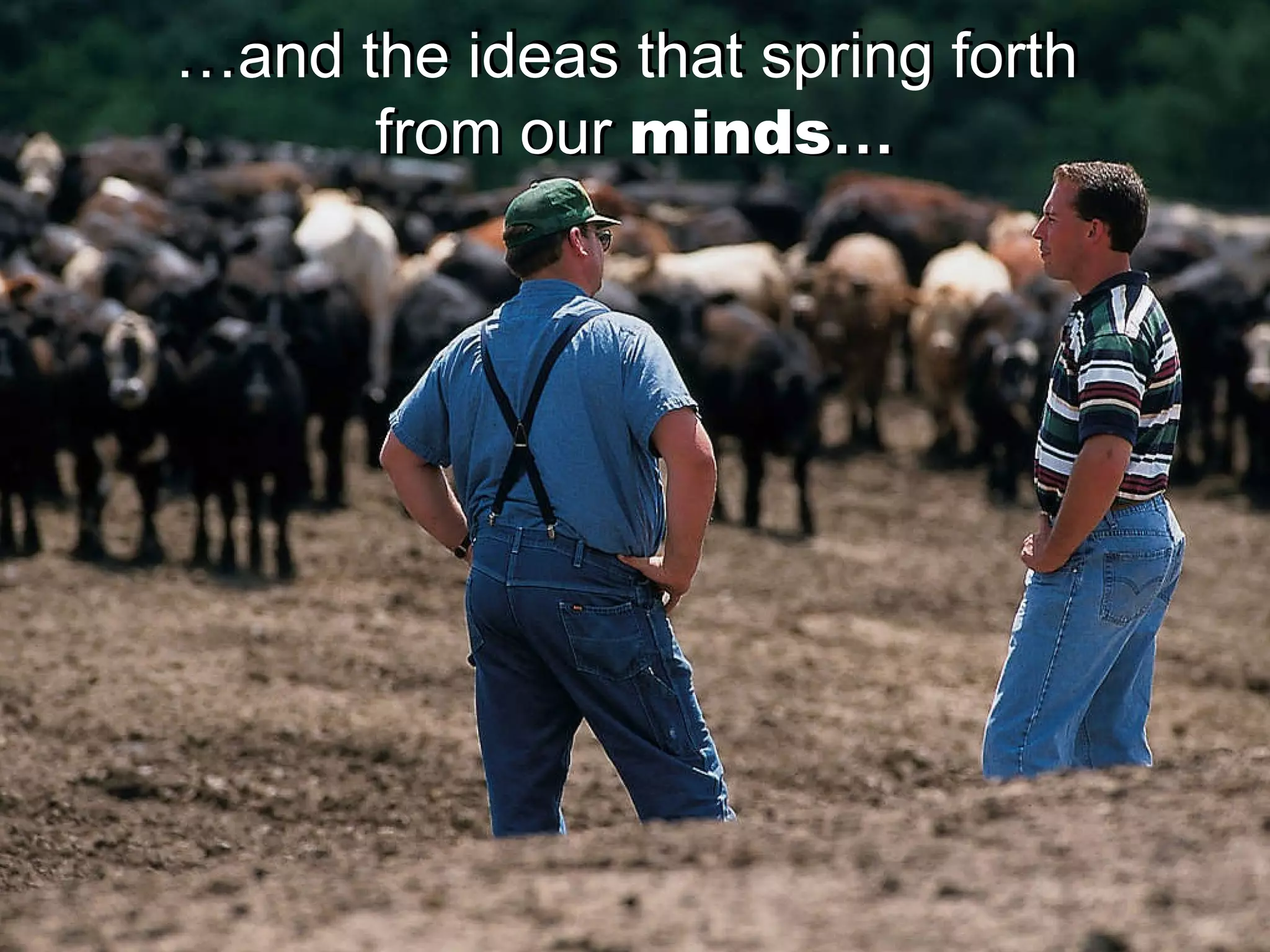 … and the ideas that spring forth  from our   minds … … and the ideas that spring forth  from our   minds … 