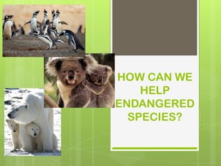 HOW CAN WE
HELP
ENDANGERED
SPECIES?
 