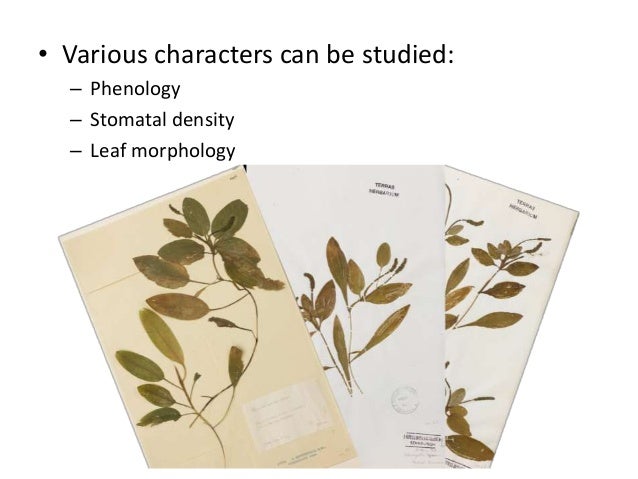 Research paper on biodiversity
