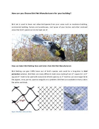 How can you Choose Bird Net Manufacturers for your building?
Bird net is used to leave out urban bird species from your areas such as residence building,
commercial building, factory and warehouses, roof space of your homes and other enclosed
areas that bird’s species are to be kept out of.
How can Select Bird Netting Sizes and Colors from Bird Net Manufacturers
Bird Netting can give 100% leave out of bird’s species and could be a long-time to bird
protection solution. Bird Nets are many different mesh sizes starting from (1" square & 1.1/2"
square) ¾" mesh to be used with every kind of birds species, to 2" mesh to use once larger birds
like pigeon, crow, parrot, sparrow seagulls are a problem. Bird Nets are available in many colors
like white and black.
Figure 1 Bird Net- Color and Sizes
 