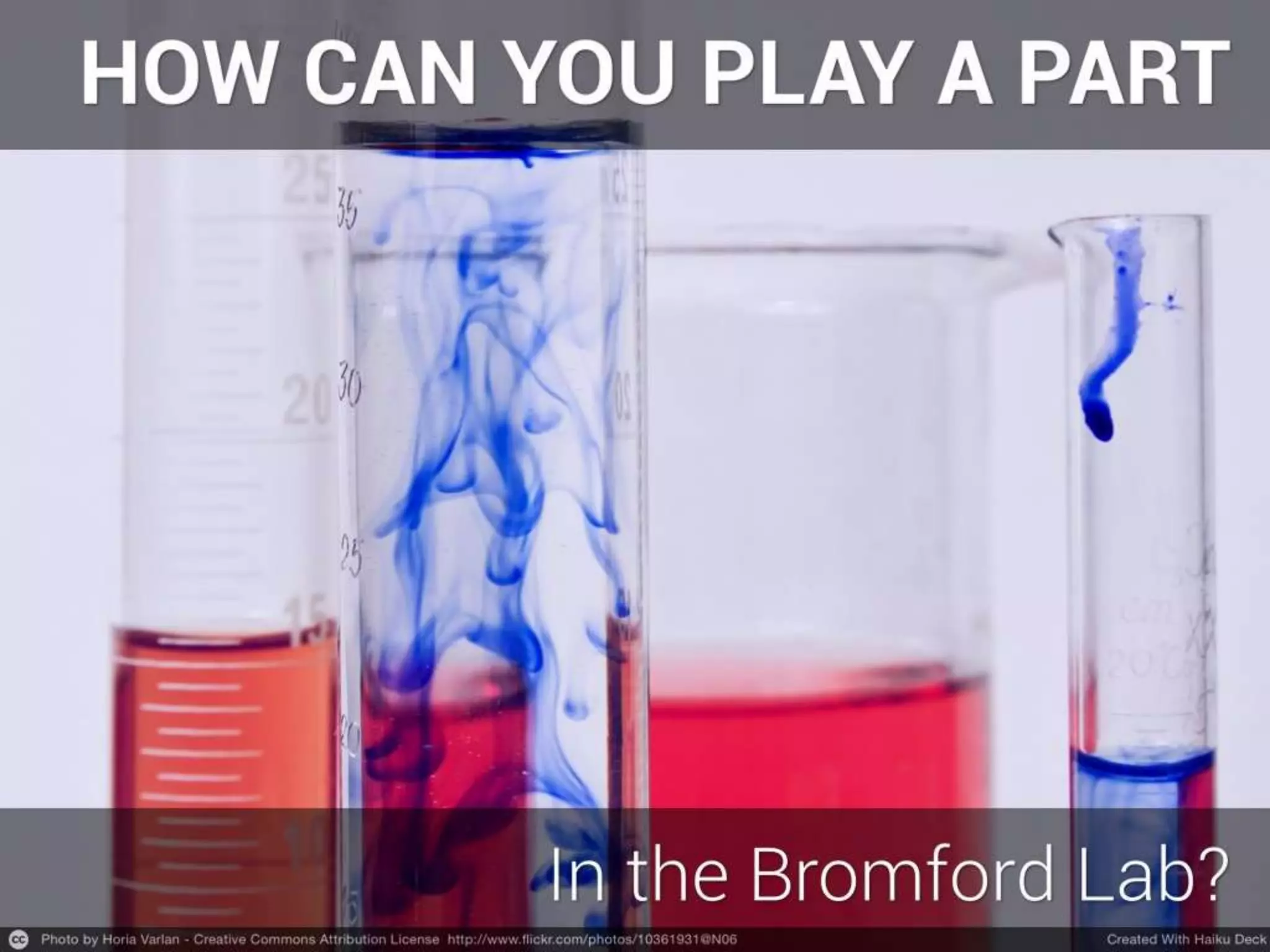 How Can You Get Involved With The Bromford Lab