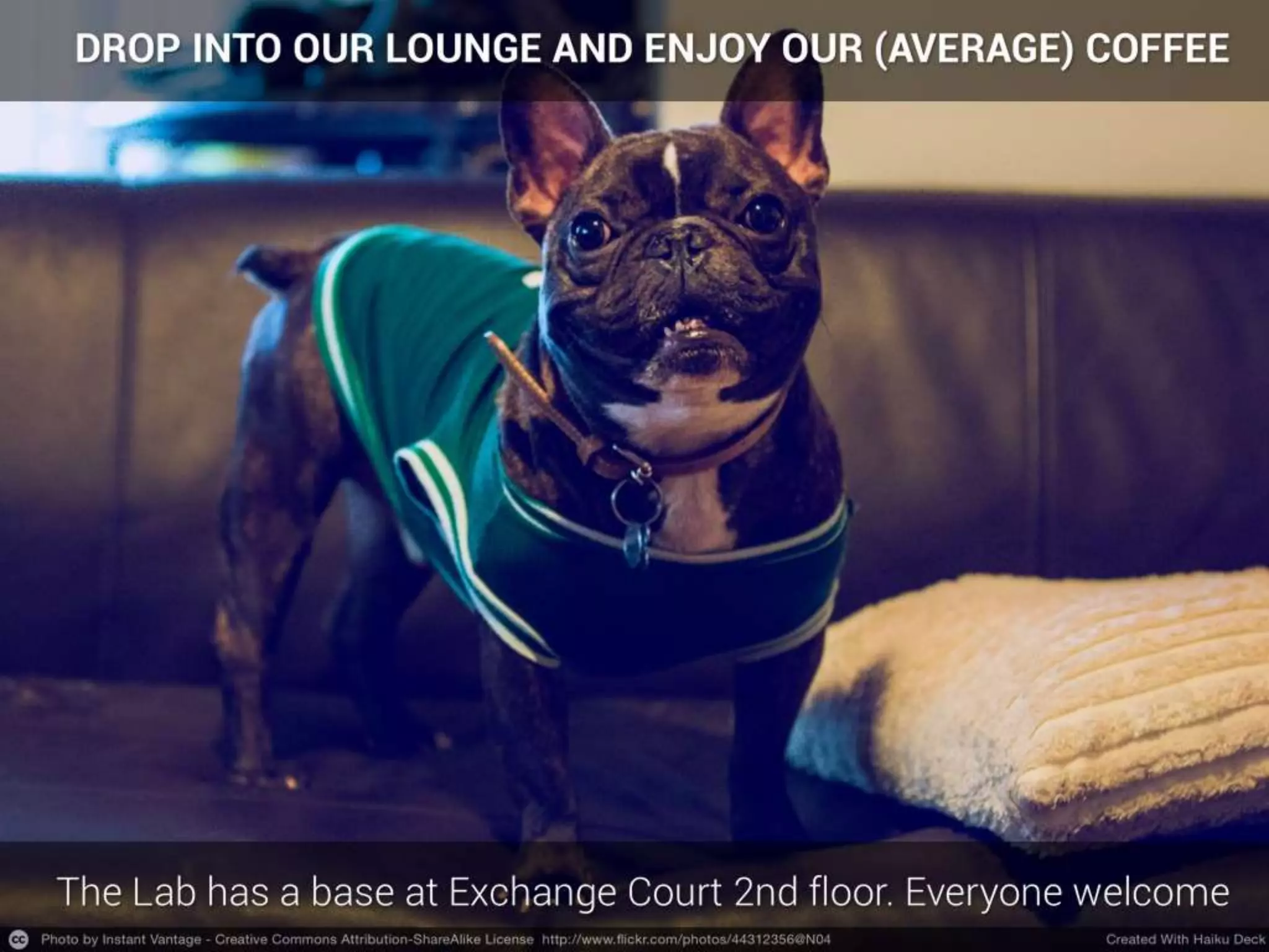 How Can You Get Involved With The Bromford Lab