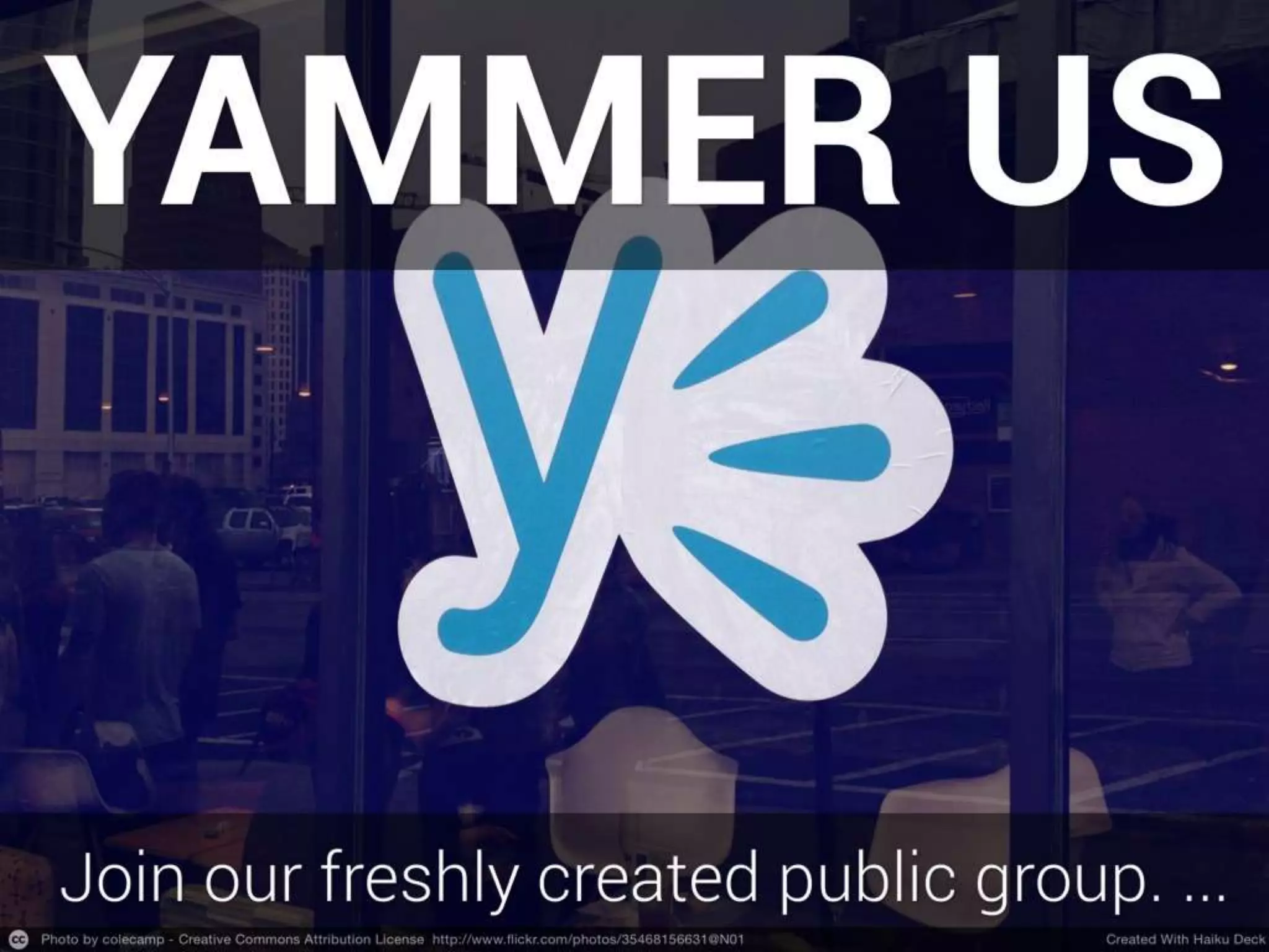 How Can You Get Involved With The Bromford Lab