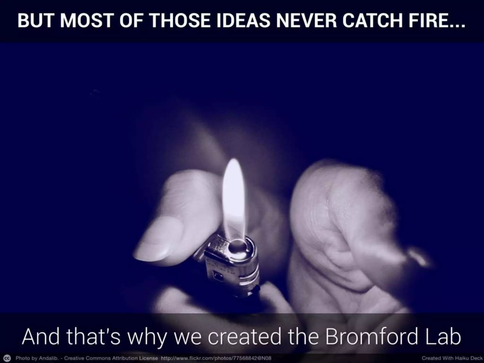 How Can You Get Involved With The Bromford Lab