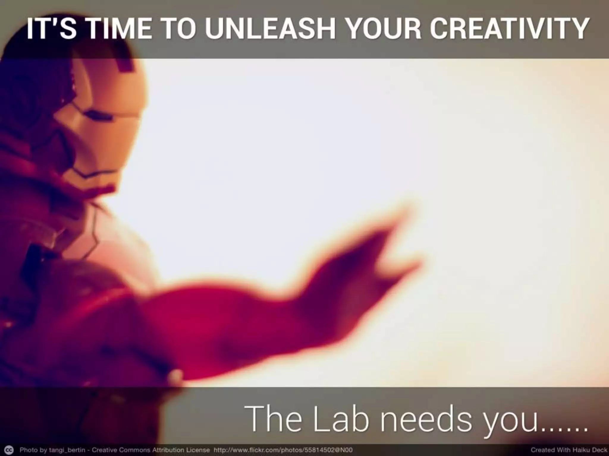 How Can You Get Involved With The Bromford Lab