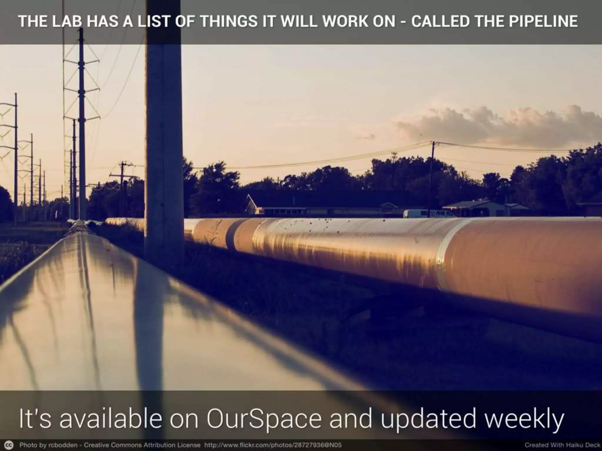 How Can You Get Involved With The Bromford Lab