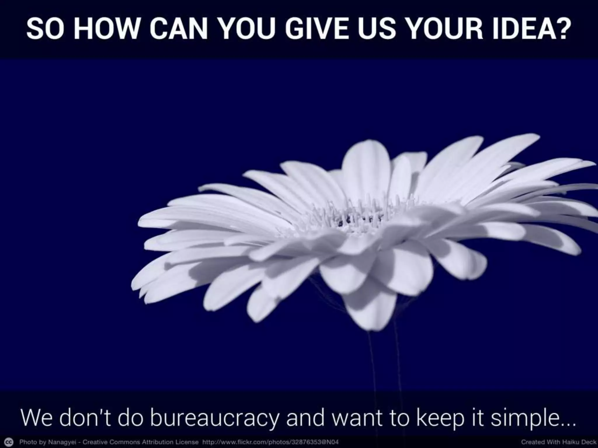 How Can You Get Involved With The Bromford Lab