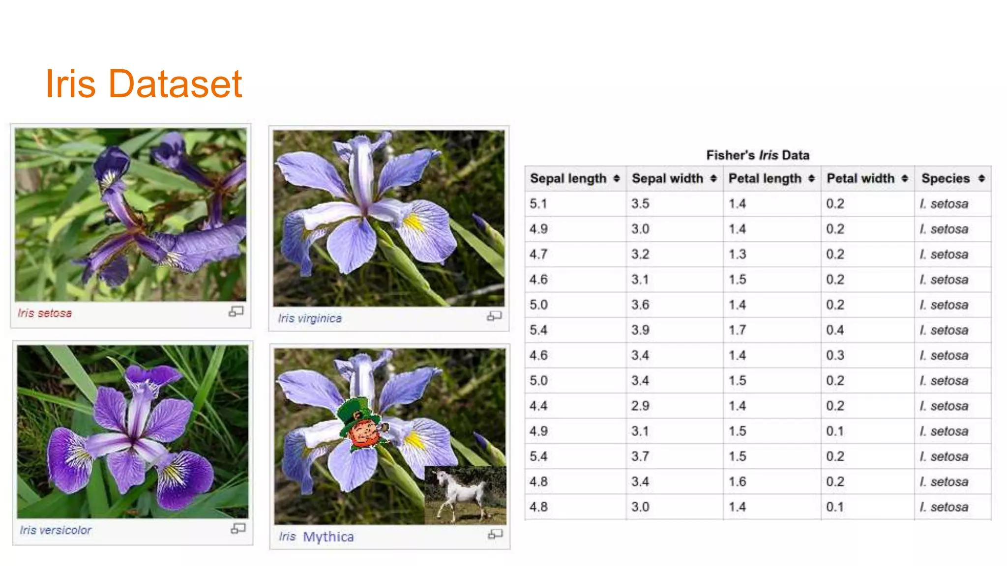 Iris Dataset
 