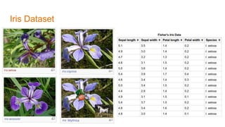 Iris Dataset
 