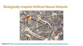 Biologically Inspired Artificial Neural Network
Image from https://visualstudiomagazine.com/articles/2014/06/01/deep-neural-networks.aspx
 