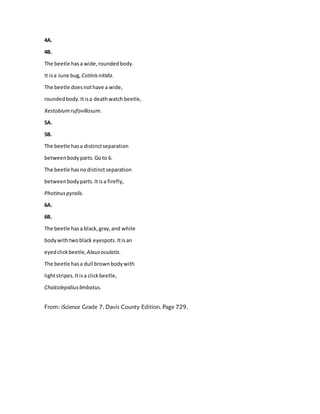 4A.
4B.
The beetle hasa wide,roundedbody.
It isa June bug, Cotinisnitida.
The beetle doesnothave a wide,
roundedbody.Itisa deathwatchbeetle,
Xestobiumrufovillosum.
5A.
5B.
The beetle hasa distinctseparation
betweenbody parts.Goto 6.
The beetle hasnodistinctseparation
betweenbodyparts.Itisa firefly,
Photinuspyralis.
6A.
6B.
The beetle hasa black,gray,and white
bodywithtwoblack eyespots.Itisan
eyedclickbeetle, Alausoculatis.
The beetle hasa dull brownbodywith
lightstripes.Itisa clickbeetle,
Chalcolepidiuslimbatus.
From: iScience Grade 7, Davis County Edition. Page 729.
 