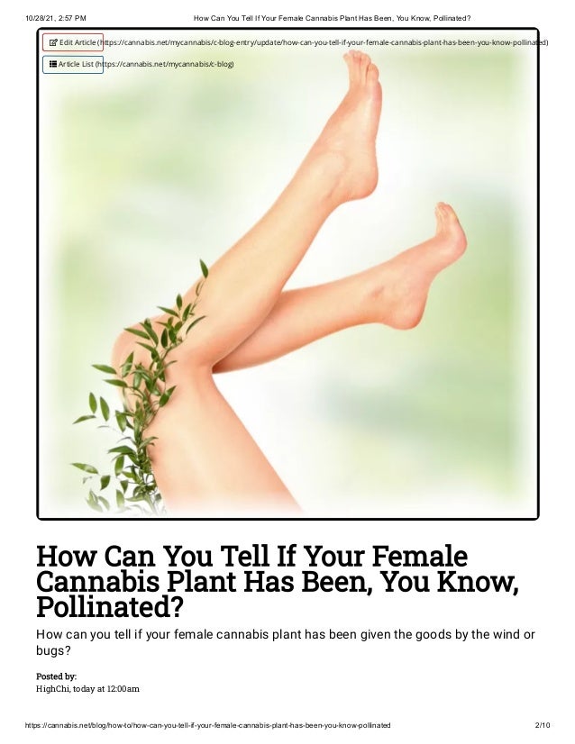 How Can You Tell If Your Female Marijuana Plant Has Been Pollinated?