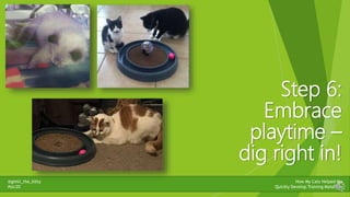 @gimli_the_kitty
#stc20
How My Cats Helped Me
Quickly Develop Training Materials
Step 6:
Embrace
playtime –
dig right in!
 