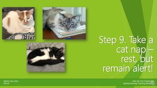 @gimli_the_kitty
#stc20
How My Cats Helped Me
Quickly Develop Training Materials
Step 9. Take a
cat nap –
rest, but
remain...