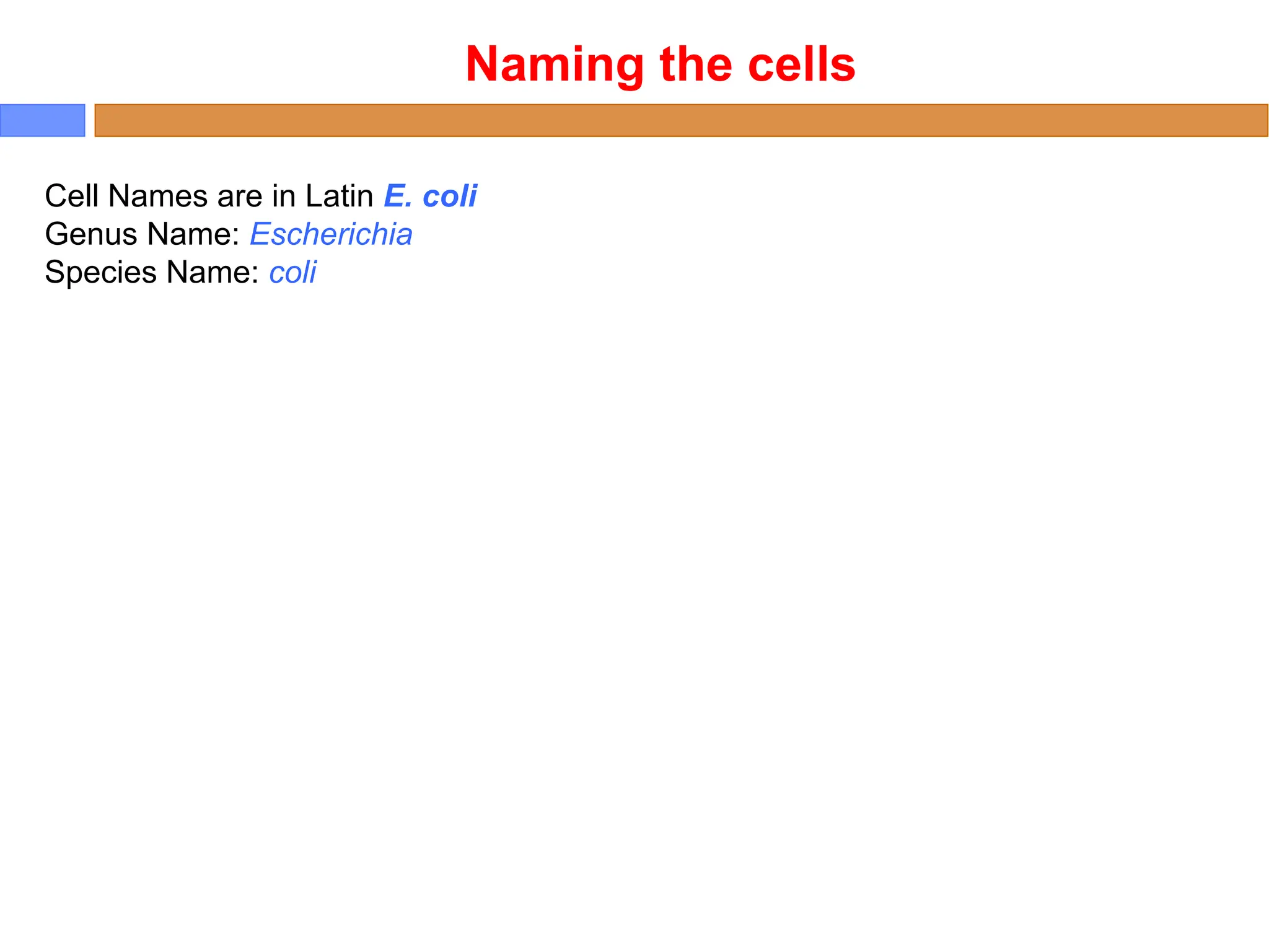 Cell Names are in Latin E. coli
Genus Name: Escherichia
Species Name: coli
Naming the cells
 
