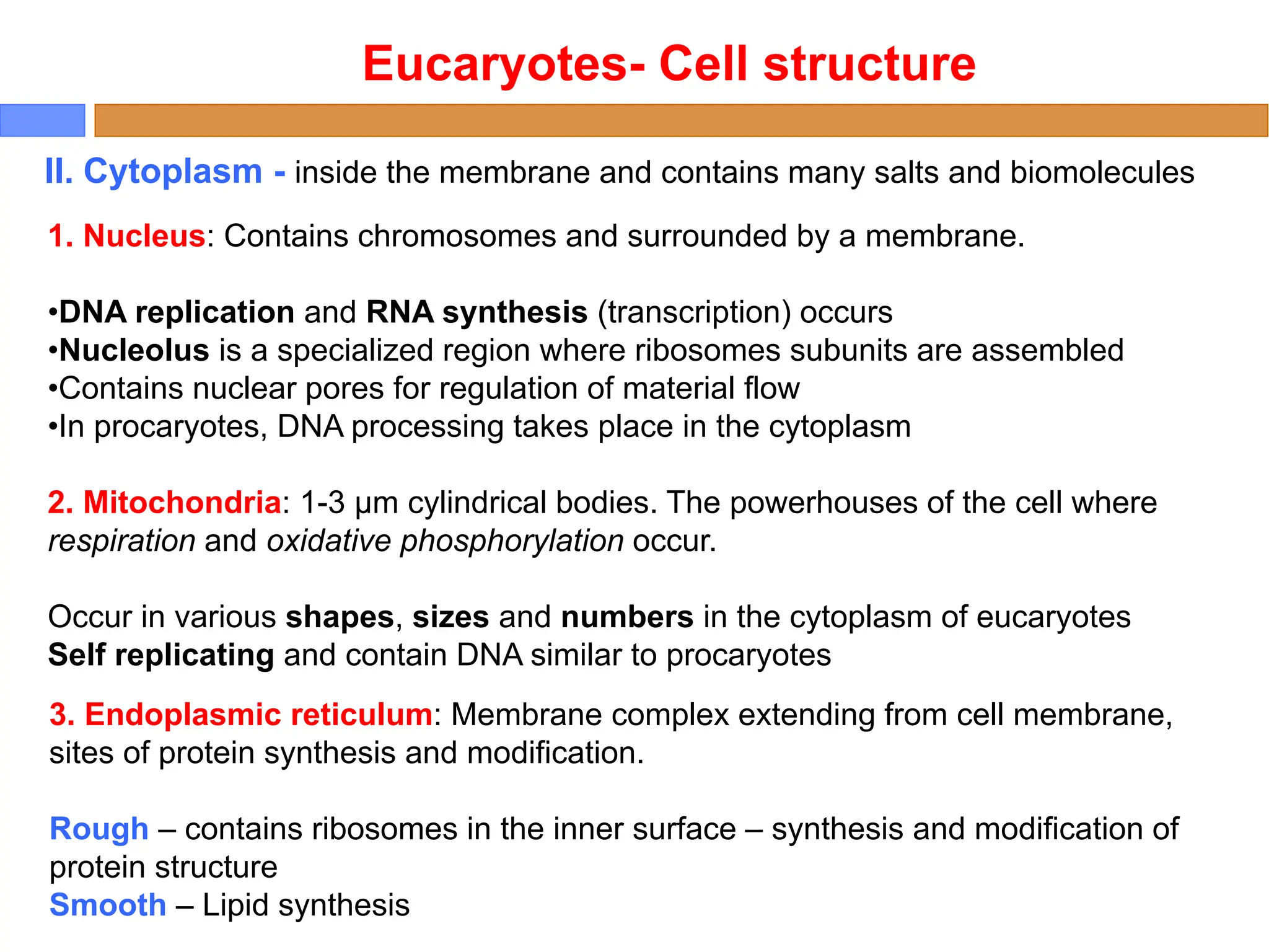 II. Cytoplasm - inside the membrane and contains many salts and biomolecules
1. Nucleus: Contains chromosomes and surrounded by a membrane.
•DNA replication and RNA synthesis (transcription) occurs
•Nucleolus is a specialized region where ribosomes subunits are assembled
•Contains nuclear pores for regulation of material flow
•In procaryotes, DNA processing takes place in the cytoplasm
2. Mitochondria: 1-3 μm cylindrical bodies. The powerhouses of the cell where
respiration and oxidative phosphorylation occur.
Occur in various shapes, sizes and numbers in the cytoplasm of eucaryotes
Self replicating and contain DNA similar to procaryotes
Eucaryotes- Cell structure
3. Endoplasmic reticulum: Membrane complex extending from cell membrane,
sites of protein synthesis and modification.
Rough – contains ribosomes in the inner surface – synthesis and modification of
protein structure
Smooth – Lipid synthesis
 