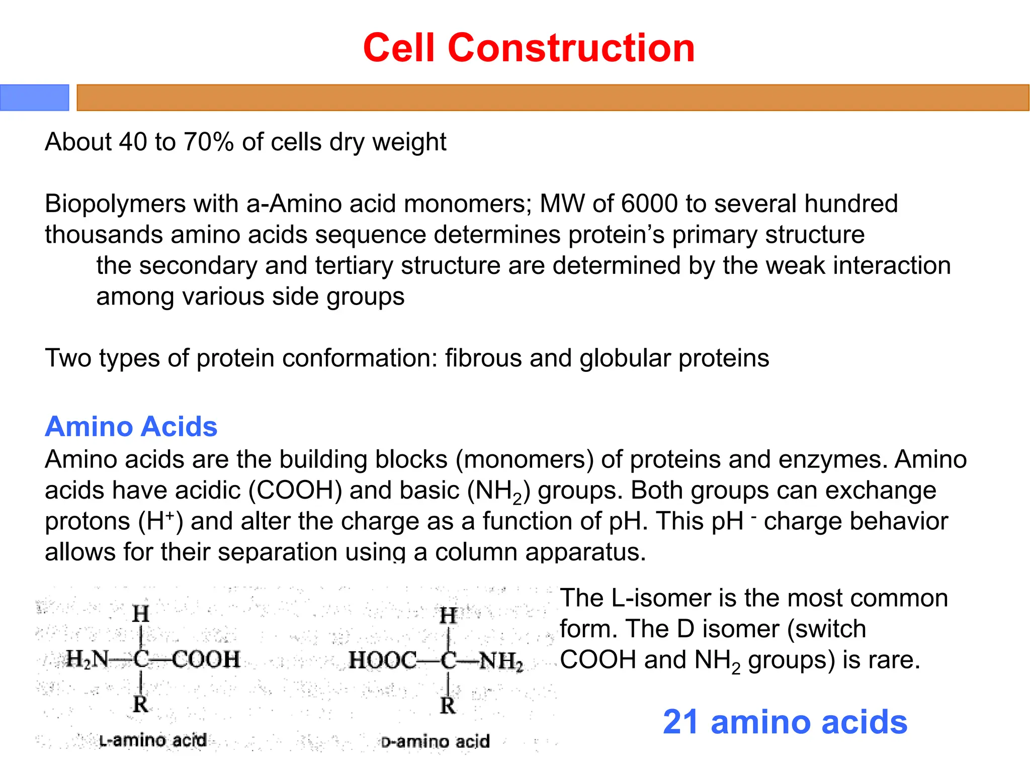 Cell Construction
Amino Acids
Amino acids are the building blocks (monomers) of proteins and enzymes. Amino
acids have acidic (COOH) and basic (NH2) groups. Both groups can exchange
protons (H+) and alter the charge as a function of pH. This pH - charge behavior
allows for their separation using a column apparatus.
About 40 to 70% of cells dry weight
Biopolymers with a-Amino acid monomers; MW of 6000 to several hundred
thousands amino acids sequence determines protein’s primary structure
the secondary and tertiary structure are determined by the weak interaction
among various side groups
Two types of protein conformation: fibrous and globular proteins
The L-isomer is the most common
form. The D isomer (switch
COOH and NH2 groups) is rare.
21 amino acids
 