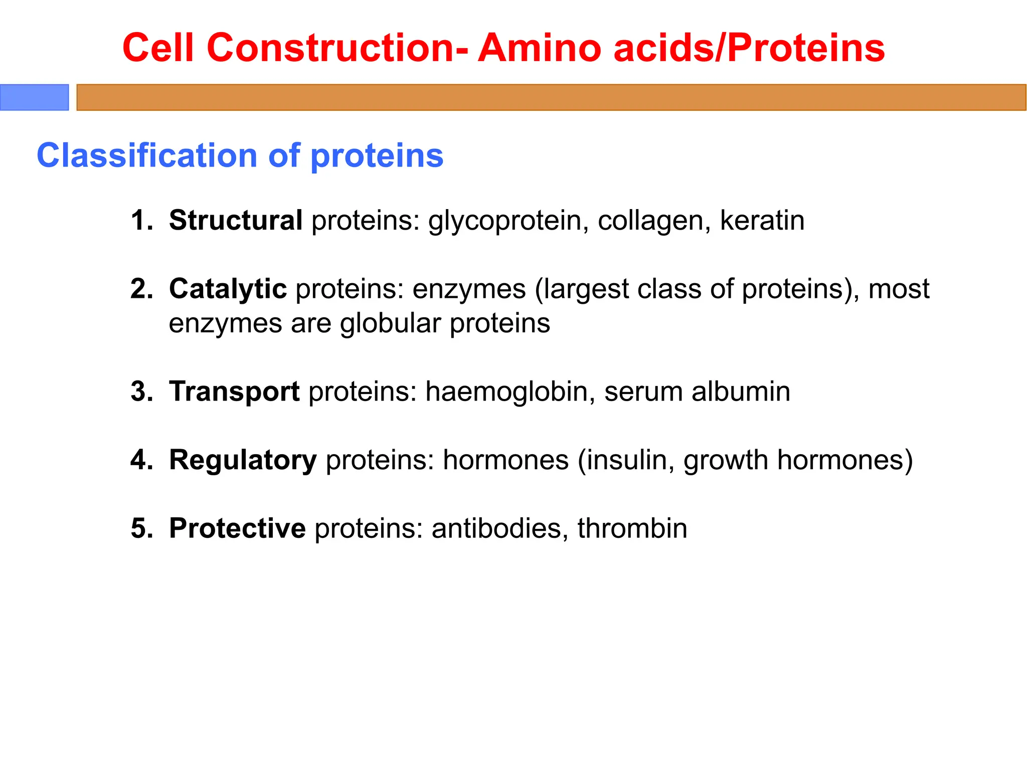 Classification of proteins
Cell Construction- Amino acids/Proteins
1. Structural proteins: glycoprotein, collagen, keratin
2. Catalytic proteins: enzymes (largest class of proteins), most
enzymes are globular proteins
3. Transport proteins: haemoglobin, serum albumin
4. Regulatory proteins: hormones (insulin, growth hormones)
5. Protective proteins: antibodies, thrombin
 