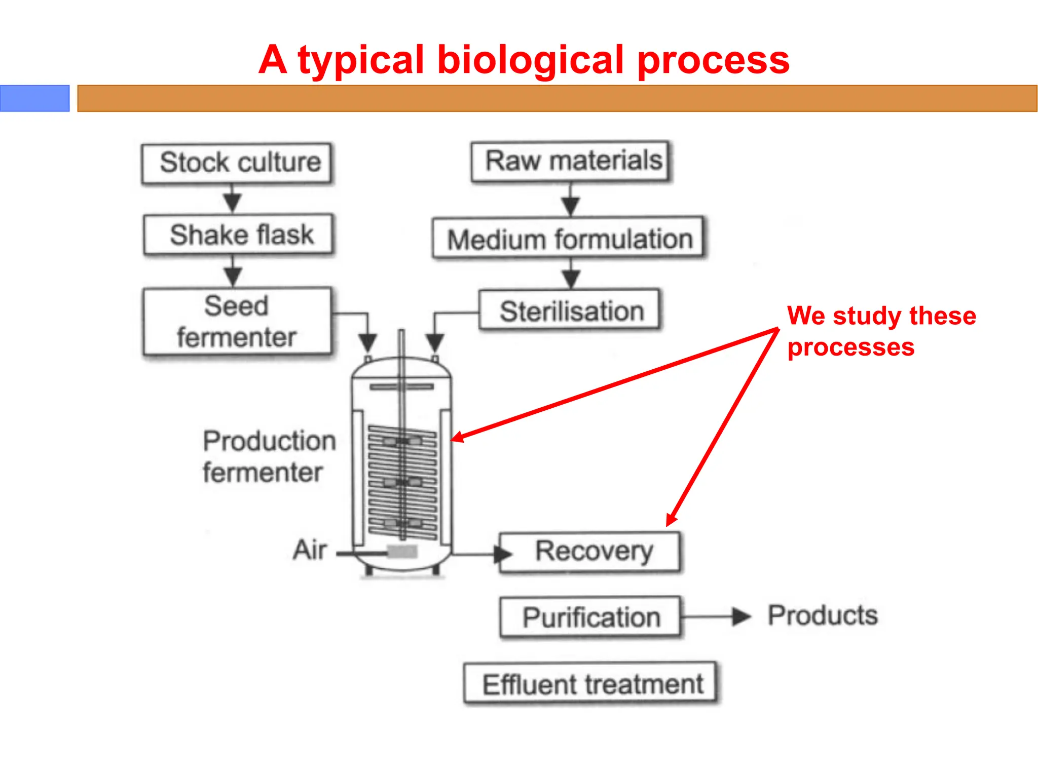 A typical biological process
We study these
processes
 