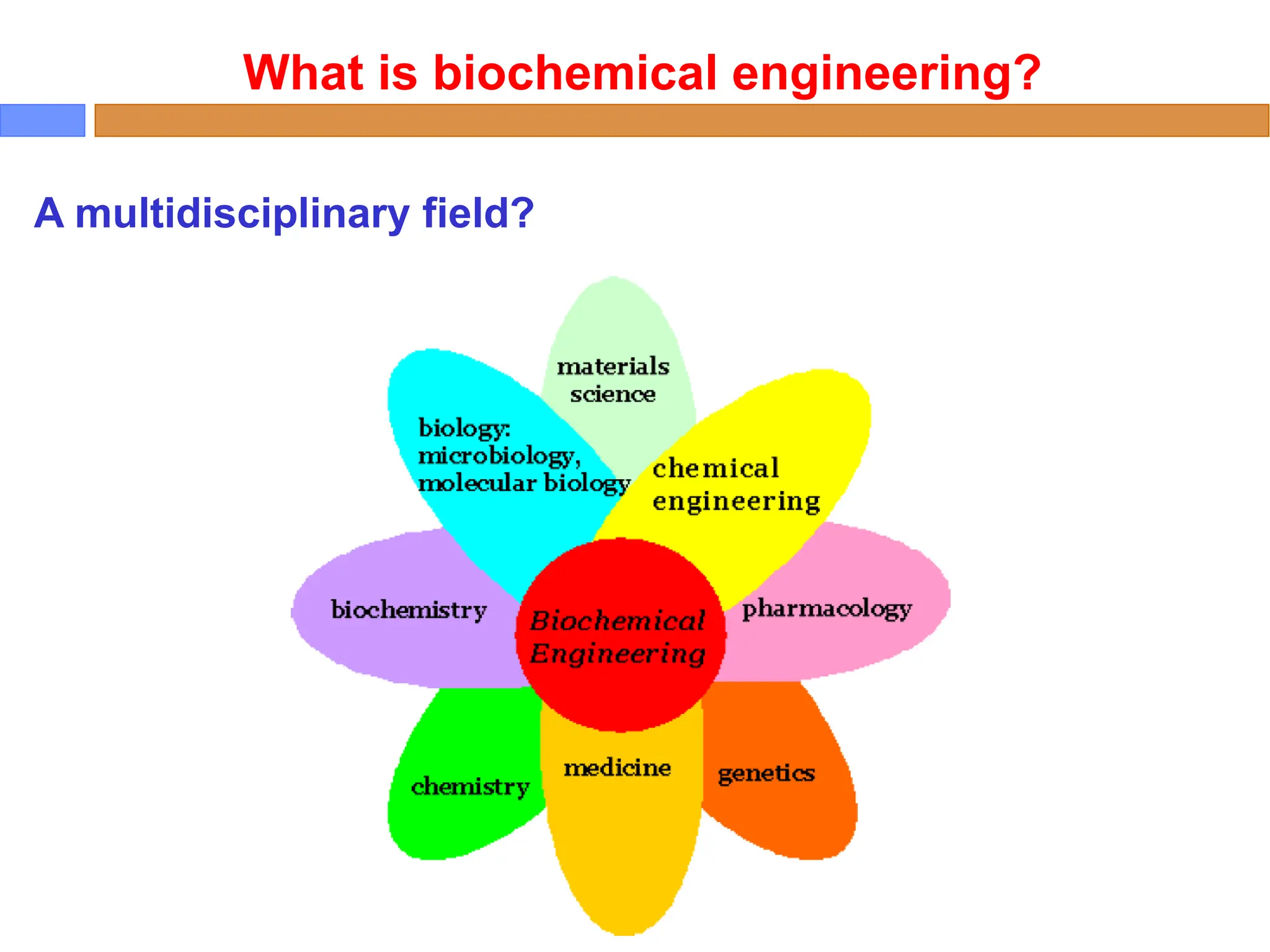 What is biochemical engineering?
A multidisciplinary field?
 