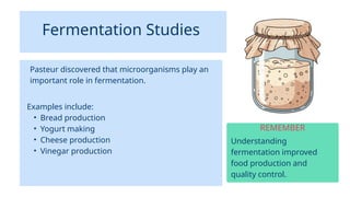 Fermentation Studies
Understanding
fermentation improved
food production and
quality control.
REMEMBER
Pasteur discovered that microorganisms play an
important role in fermentation.
Examples include:
• Bread production
• Yogurt making
• Cheese production
• Vinegar production
 