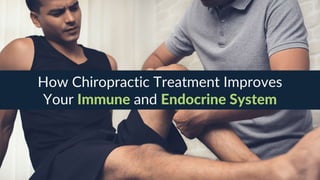 How Chiropractic Treatment Improves Your Immune and Endocrine System