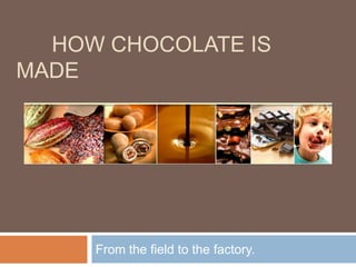 HOW CHOCOLATE IS
MADE




     From the field to the factory.
 