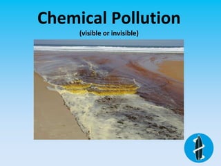 Chemical Pollution
(visible or invisible)
 