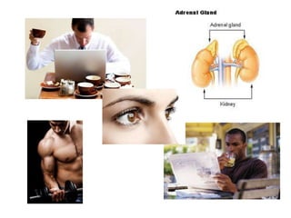 How coffee makes us unsleepy