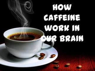 How caffeine work
in our brain
 