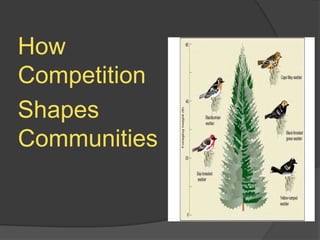   How Competition   Shapes   Communities 