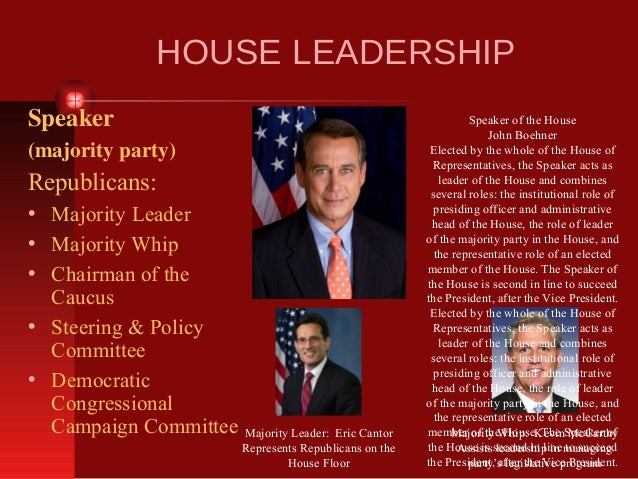 How Congress Works