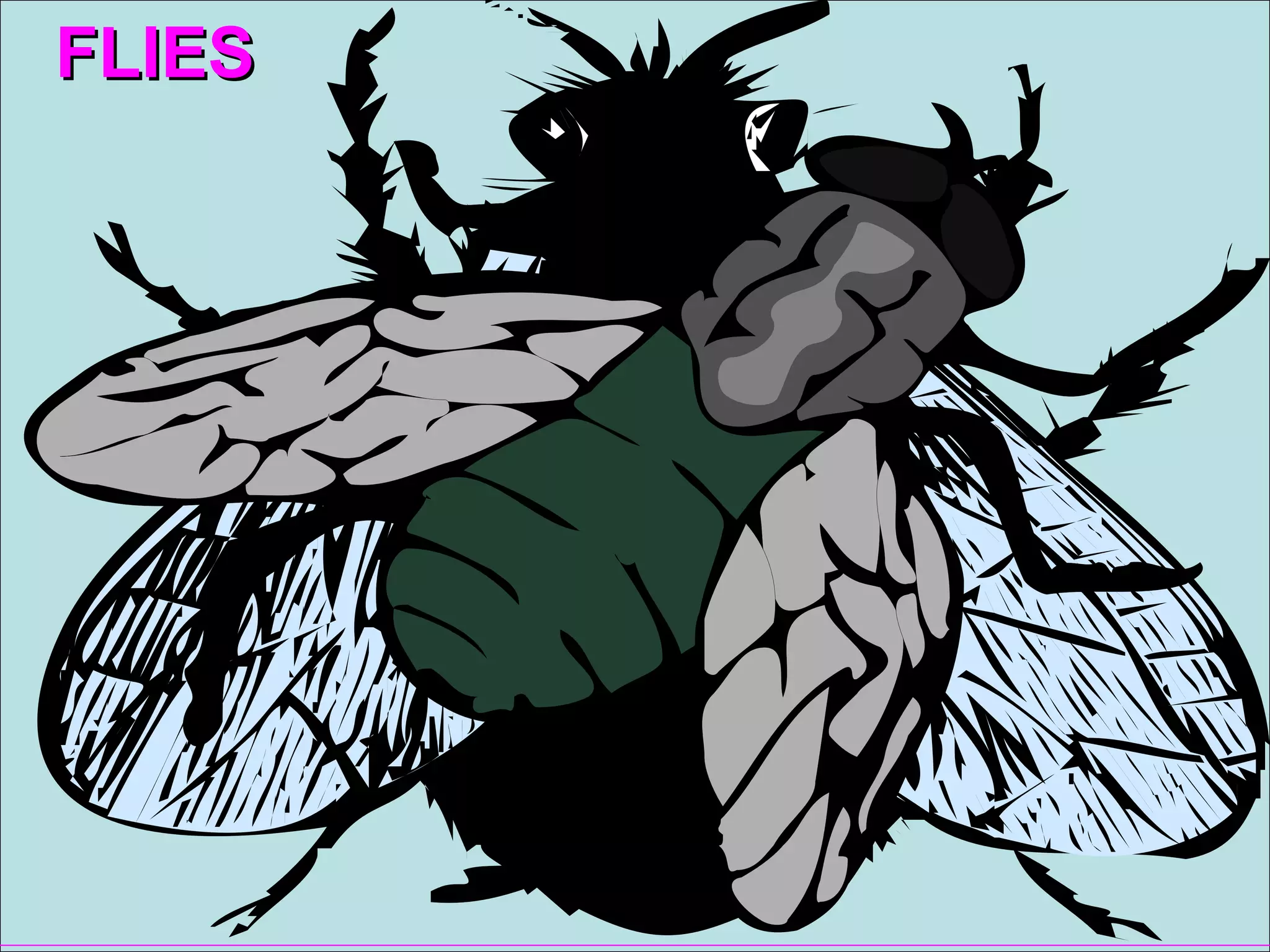 FLIES  