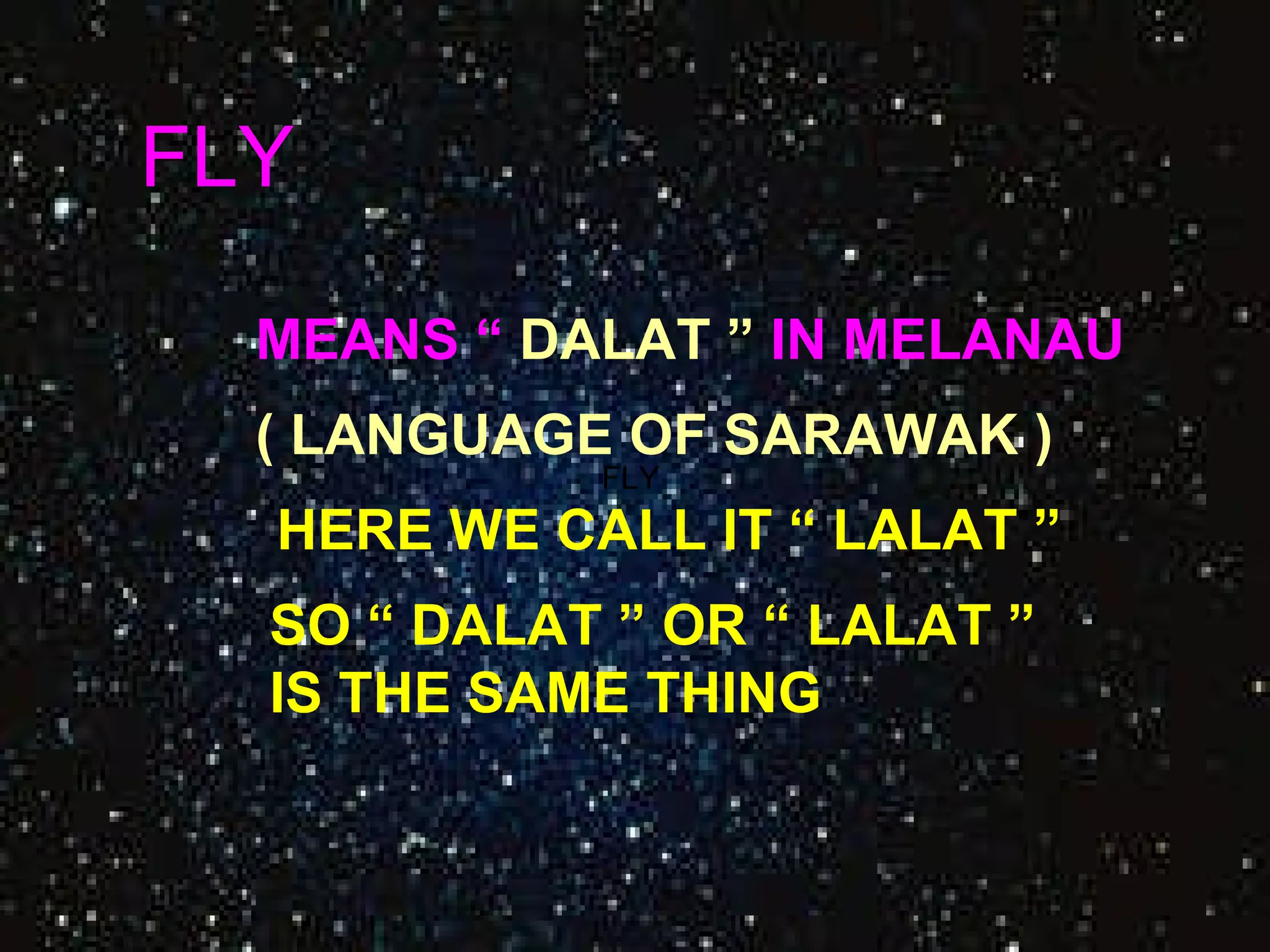 FLY  FLY  MEANS “  DALAT ”  IN MELANAU   ( LANGUAGE OF SARAWAK ) HERE WE CALL IT “ LALAT ” SO “ DALAT ” OR “ LALAT ” IS THE SAME THING 