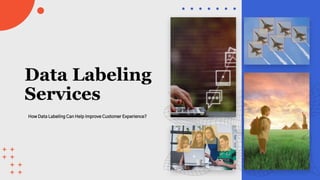 Data Labeling
Services
How Data Labeling Can Help Improve Customer Experience?
 