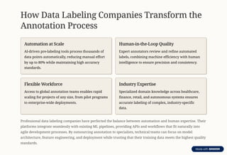 How Data Labeling Companies Streamline Tagging and Annotation ...