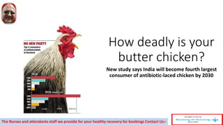 How deadly is your
butter chicken?
New study says India will become fourth largest
consumer of antibiotic-laced chicken by 2030
The Nurses and attendants staff we provide for your healthy recovery for bookings Contact Us:-
 