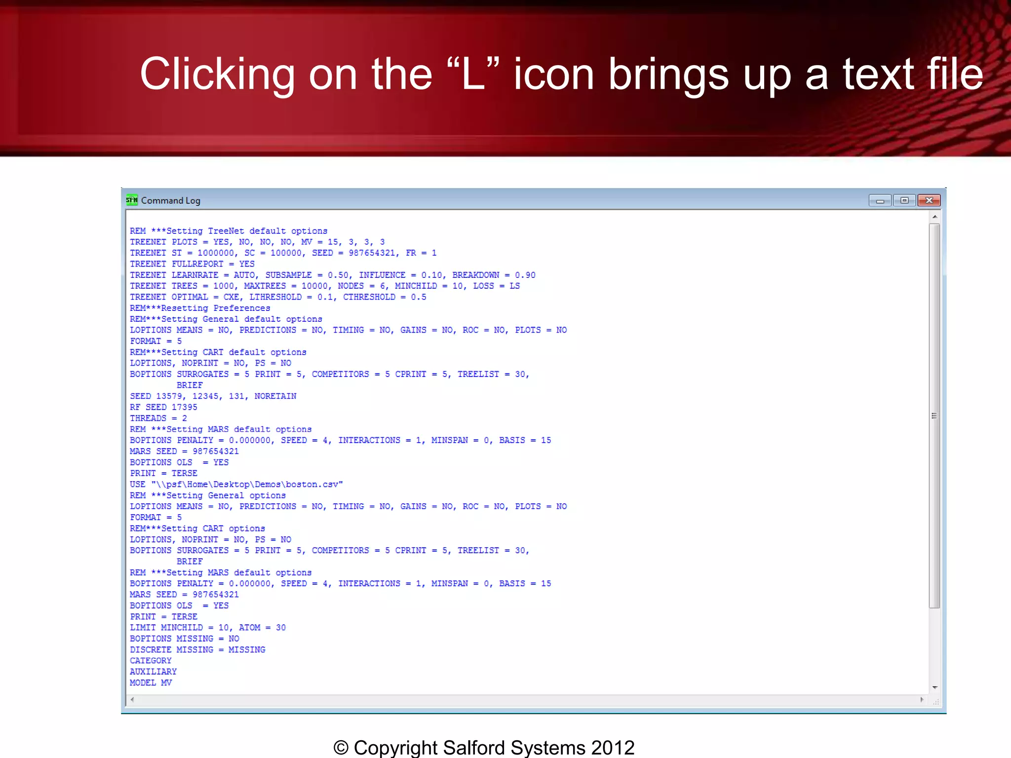 Clicking on the “L” icon brings up a text file




          © Copyright Salford Systems 2012
 