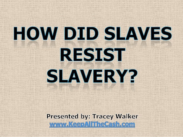 was slavery the primary cause of the civil war essay was slavery the primary cause of the civil war essay