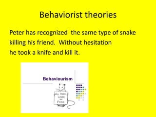 Behaviorist theories
Peter has recognized the same type of snake
killing his friend. Without hesitation
he took a knife and kill it.
 
