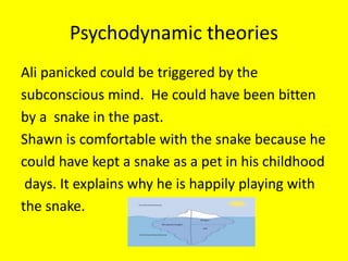 Psychodynamic theories
Ali panicked could be triggered by the
subconscious mind. He could have been bitten
by a snake in the past.
Shawn is comfortable with the snake because he
could have kept a snake as a pet in his childhood
days. It explains why he is happily playing with
the snake.
 