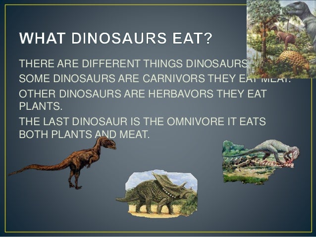 How Dinosaurs Became Extinct