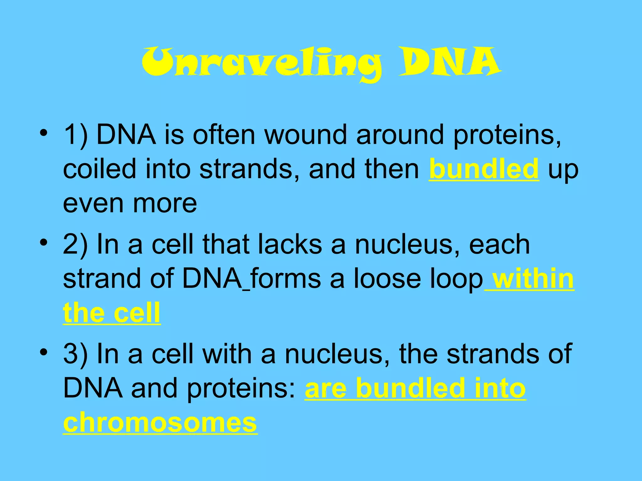 Unraveling DNA
• 1) DNA is often wound around proteins,
  coiled into strands, and then bundled up
  even more
• 2) In a cell that lacks a nucleus, each
  strand of DNA forms a loose loop within
  the cell
• 3) In a cell with a nucleus, the strands of
  DNA and proteins: are bundled into
  chromosomes
 